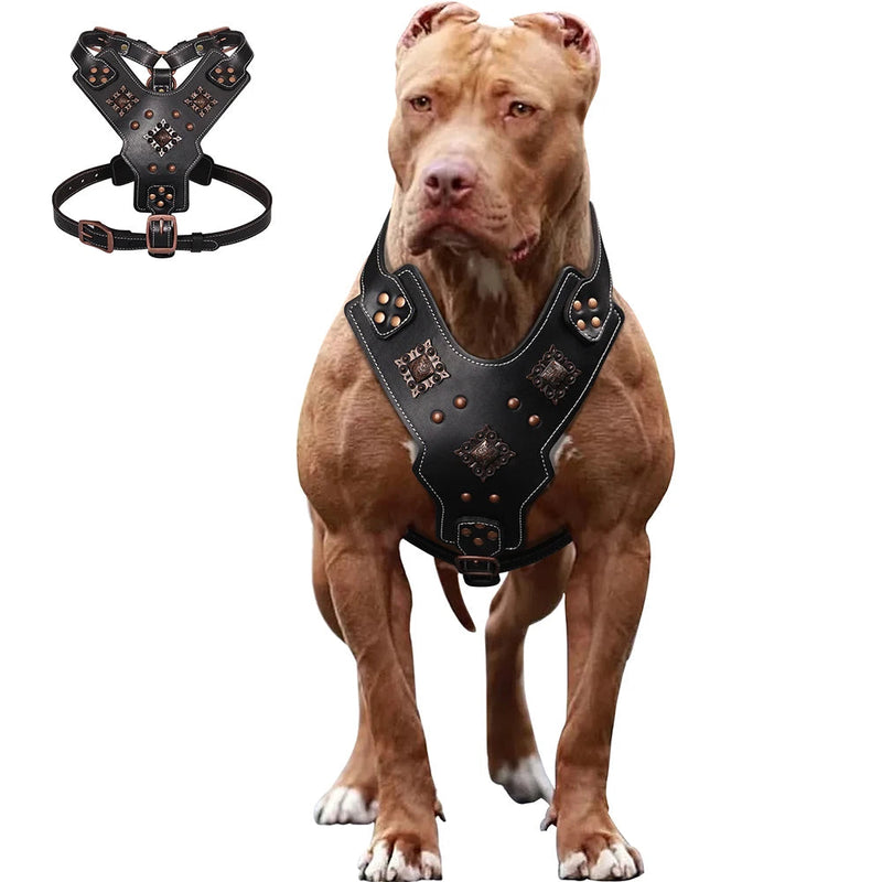 Genuine Leather Dog Harness Durable Large Dogs Harnesses Riveted Pet Training Vest With Metal Accessories For Medium Large Dogs shimendi Sécurité et Confort pour Chien chat| Shimendi