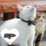 Pet Stuff Accesories Cats Items Detachable Collar Series Accessories Dogs Collars Guides Supplies Leash Kittens Pets shimendi Sécurité et Confort pour Chien chat| Shimendi
