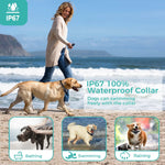 2 In 1 Remote Dog Training Collar Auto Anti Bark Shock Collar Smart Anti Barking Automatic Bark Stop Collar IP67 Waterproof shimendi Sécurité et Confort pour Chien chat| Shimendi