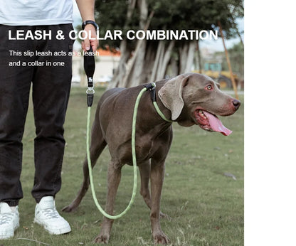 Truelove Pet Training Leash and Collar Durable Slip Lead Dog Leash Heavy Duty Comfortable Strong Rope Leash No Pull Pet TLL2575