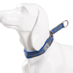 TRUELOVE P chain Pet Reflective Collar Nylon Best Neoprene Padded Half Choke Training  Lightweight Washable Sports YC1852 - shimendi