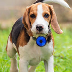 LED Pet Dog Cat Collar Pendant Portable Pet Safety Led Light USB Rechargeable Outdoor Night Walking Dog Collar Accessories - shimendi