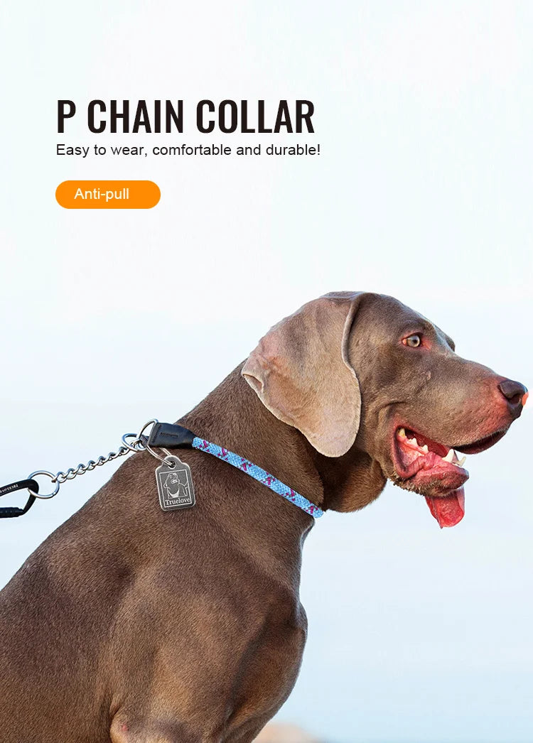Truelove Pet P-Chain Nylon Dog Collar Stainless Steel Chain Pull-resistant Reflective Decorative Explosion-proof Walking TLC5373