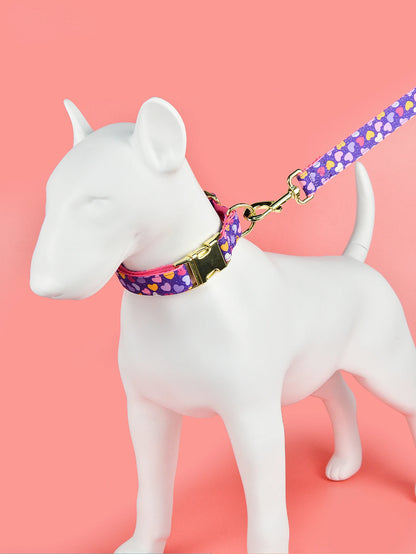 Luxury Brand Summer Colorful Season Adjutable Dog Collar And Leash Set For Small Medium Large Dogs