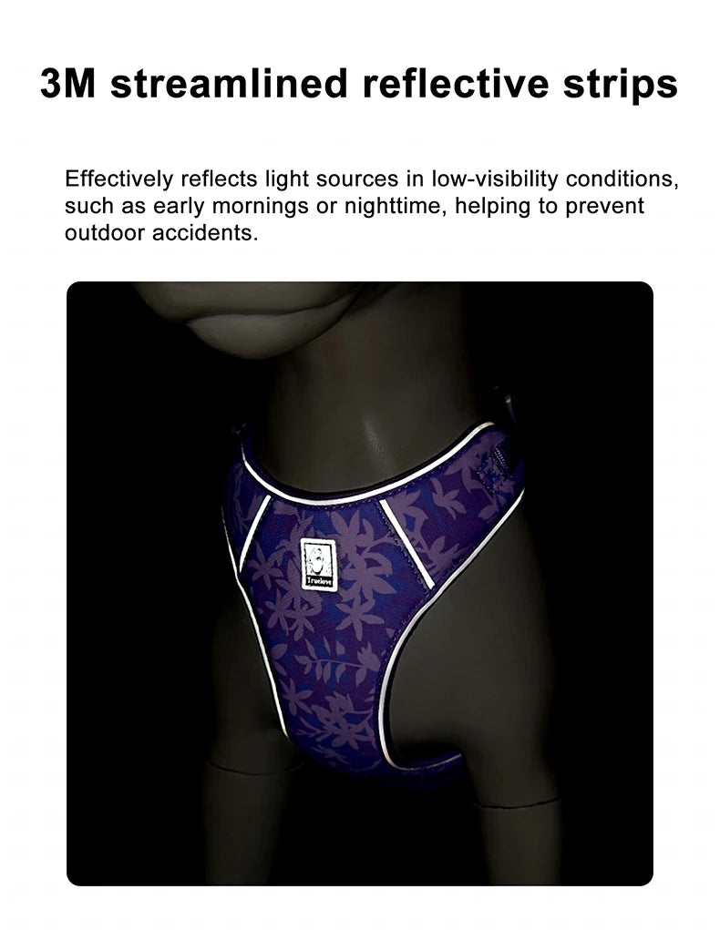 Truelove Pet Harness and Leash Set Ultra-Lightweight Breathable High Quality Nylon Mesh Reflective Night Training Dog TLH2918