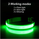 USB Rechargeable Luminous Collar Adjustable Led Glowing Dog Collar for Large Small Dogs Cat Night Light Collar Pet Safety Harnes - shimendi