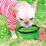 Durable TPR Portable Pet Food Bowl for Cats And Dogs Silicone Collapsible Travel Outdoor Water Food Bowl for Pets - shimendi