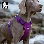 Truelove Dog Light Weight Harness Adjustable Outdoor Pet Medium Small Large Adjustable Outdoor Tactical Military Service TLH6281 - shimendi