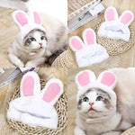 Pet Hat Cat Headgear Lion Rabbit Ears Dog Hat Dress up Pet Headwear Small Dog Pet Supplies - shimendi