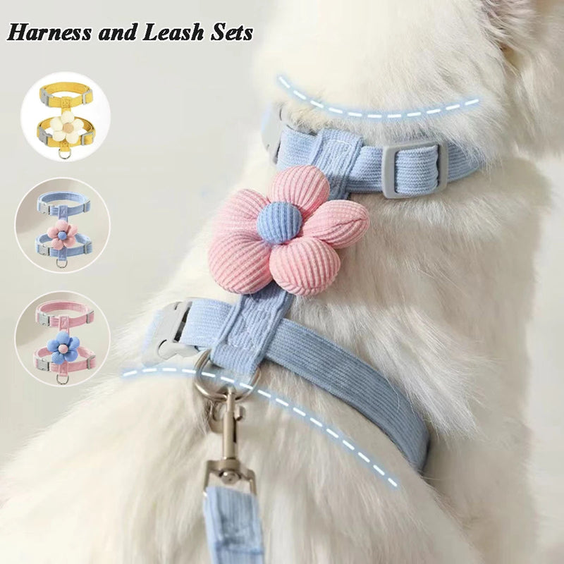 Cat Harness and Leash Sets Adjustable Dog Harness for Small Dog Leash Breashable Pet Harness Out Walking Dog Strap shimendi Sécurité et Confort pour Chien chat| Shimendi