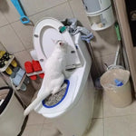 Cat Toilet Trainer Litter Box Cat Toilet Training Reusable Simple Installation Open Cat Raising Artifact - shimendi