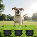 YHLC Automatic Anti Barking Dog Collar, Rechargeable Bark Stopper, Stop Barkin, Electric Training Collar for Dog - shimendi