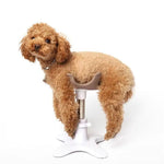 New Dog Grooming Beauty Fixed Table Base Frame Adjustable Metal Pet Bath Fixer Removable Universal Puppy Accessoires Poodle shimendi Sécurité et Confort pour Chien chat| Shimendi