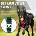 Dog Collars Harness Big Vests Leash Pet Shop Everything for Dogs Leather Puppy Accessories Medium Small Set - shimendi