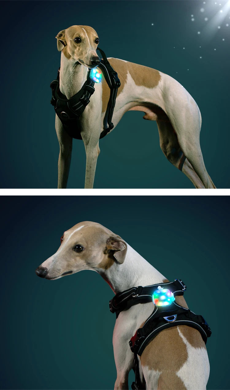 Truelove Safety LED Light for Pet Wear Collar Harness Backpack with Water Resistant and Long Continuous Battery Life TLD19102