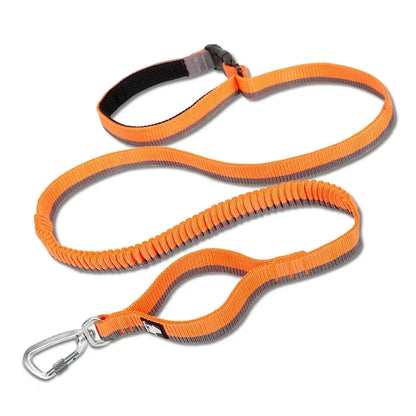 Truelove Pet Running Bungee Leash Hands Free Dog Leash Medium Large Dogs Professiona Carabiner Reflective Stitches NEW TLL2271