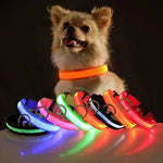 USB Charging LED Dog Collar Anti-lost Safety Night Light Luminous Dogs Necklace Adjustable Nylon Pet Glowing Collars Supplies shimendi Sécurité et Confort pour Chien chat| Shimendi