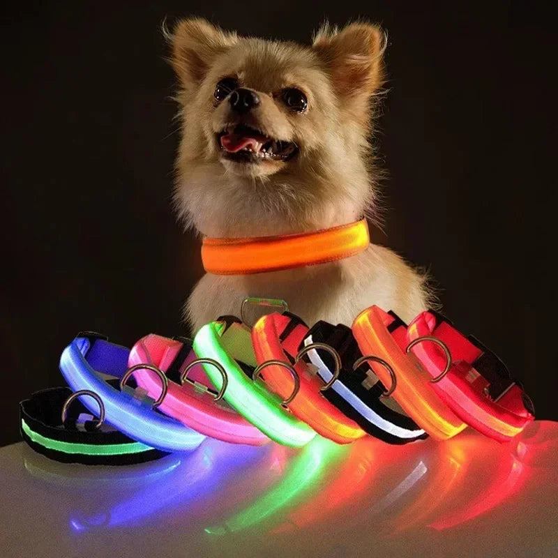 USB Charging LED Dog Collar Anti-lost Safety Night Light Luminous Dogs Necklace Adjustable Nylon Pet Glowing Collars Supplies