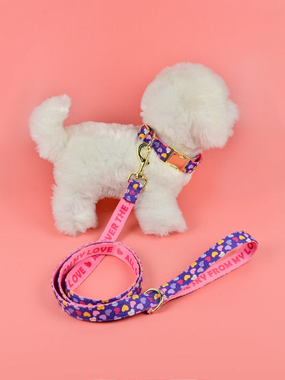 Luxury Brand Summer Colorful Season Adjutable Dog Collar And Leash Set For Small Medium Large Dogs