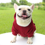 Fashion Dog Clothing Autumn And Winter Small Pet Clothes Thickening Warm Solid Color Two-Feet Hooded Wweater Casual Pet Products - shimendi
