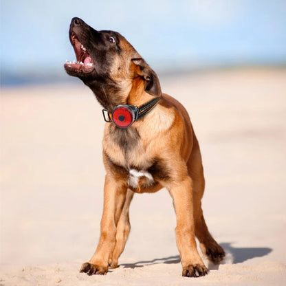 1-5Pcs LED Light Dog Collar Night Walking Pet Cat Glowing Pendant Safety Luminous Collar Dog USB Rechargeable 3 Modes Flashlight