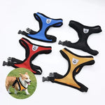 Cat Harness Vest Walking Lead Leash for Puppy Dogs Collar Polyester Adjustable Mesh Dog Harness for Small Medium Pet Accessories - shimendi