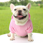 Fashion Dog Clothing Autumn And Winter Small Pet Clothes Thickening Warm Solid Color Two-Feet Hooded Wweater Casual Pet Products - shimendi