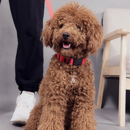 USB Charging LED Dog Collar Anti-lost Safety Night Light Luminous Dogs Necklace Adjustable Nylon Pet Glowing Collars Supplies