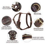 Durable Large Dog Harness Genuine Leather Dog Vest Harnesses Adjustable Quick Control With Handle Pet Supplies For Labrador shimendi Sécurité et Confort pour Chien chat| Shimendi