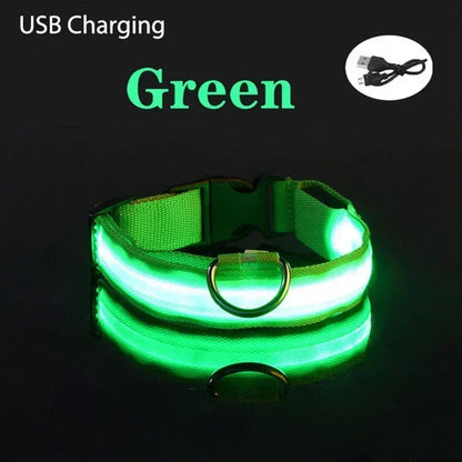 USB Charging LED Dog Collar Anti-lost Safety Night Light Luminous Dogs Necklace Adjustable Nylon Pet Glowing Collars Supplies