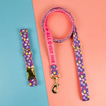 Luxury Brand Summer Colorful Season Adjutable Dog Collar And Leash Set For Small Medium Large Dogs - shimendi