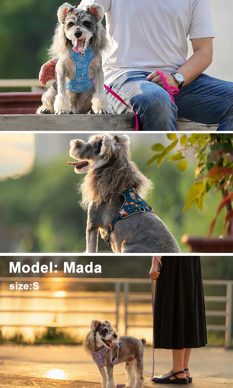 Truelove Pet Harness and Leash Set Ultra-Lightweight Breathable High Quality Nylon Mesh Reflective Night Training Dog TLH2918