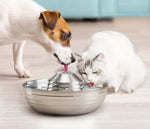 Stainless Steel Pet Water Fountain 2L, Ultra-Quiet Automatic Waterer for Cats and Dogs, Never Thirsty, Easy to Clean - shimendi