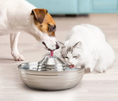 Stainless Steel Pet Water Fountain 2L, Ultra-Quiet Automatic Waterer for Cats and Dogs, Never Thirsty, Easy to Clean