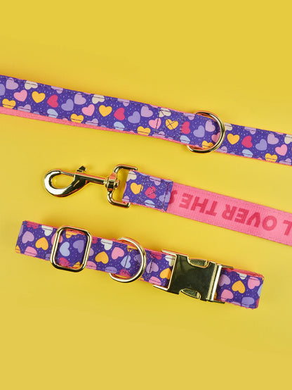 Luxury Brand Summer Colorful Season Adjutable Dog Collar And Leash Set For Small Medium Large Dogs