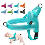 Warm Dog Harness Vest Winter Dog Harnesses Soft Padded Pet Training Harnesses Vests Adjustable For Small Large Dogs Bulldog Pug - shimendi