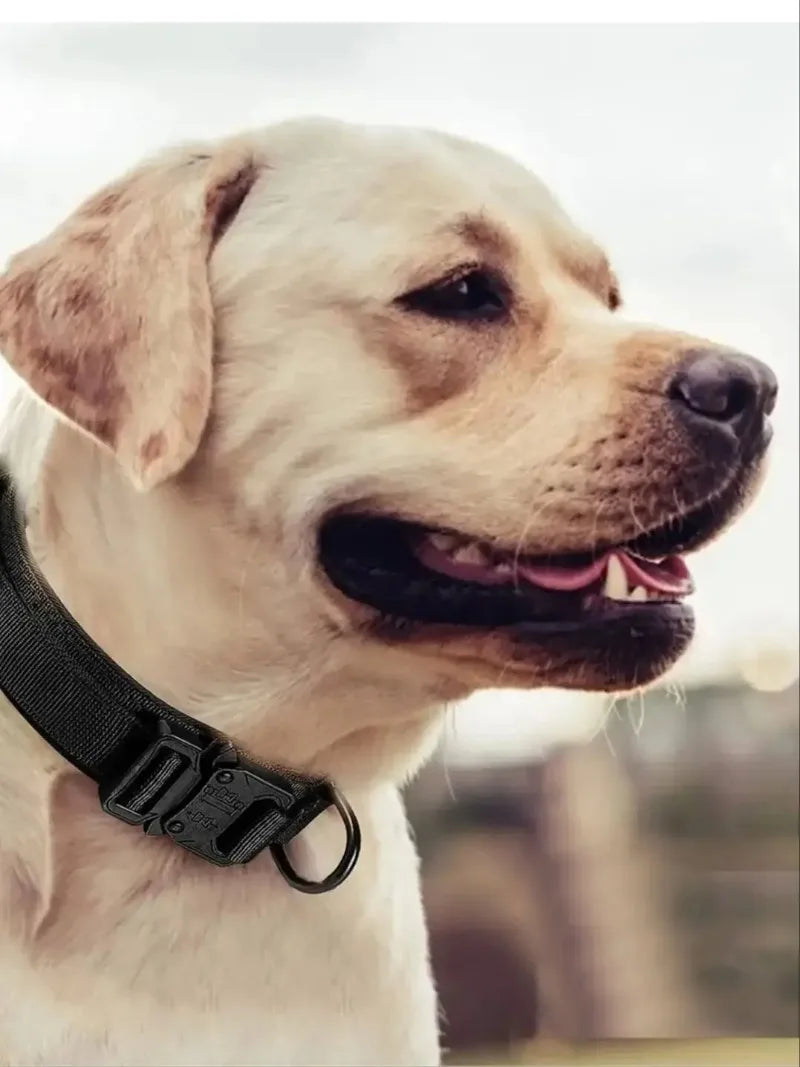 Tactical Dog Collar Adjustable Military Training Nylon Dog Necklace with Control Handle Heavy Metal Buckle for Medium Large Dog