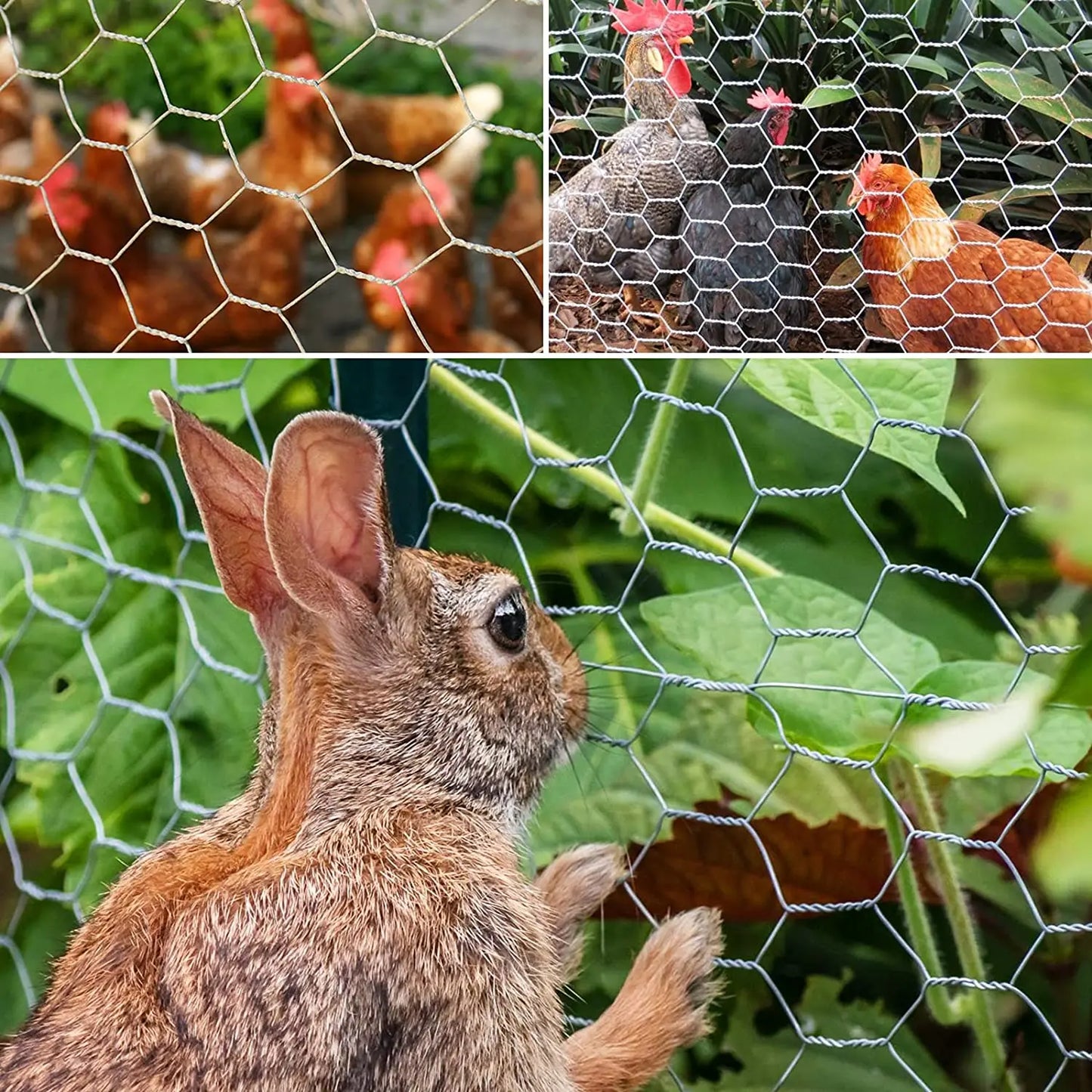 25M Roll Welded Chicken Wire Mesh Animal Fence Barrier Garden Fencing Net Strong