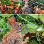 25M Roll Welded Chicken Wire Mesh Animal Fence Barrier Garden Fencing Net Strong shimendi Sécurité et Confort pour Chien chat| Shimendi