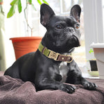 Free Custom PU Leather Dog Collar Engraved Dog Collars Adjustable Pet Buckle ID Necklace Durable for Small Medium Large Dogs Pug - shimendi