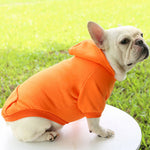 Fashion Dog Clothing Autumn And Winter Small Pet Clothes Thickening Warm Solid Color Two-Feet Hooded Wweater Casual Pet Products - shimendi