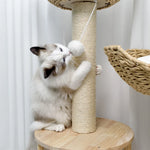 3-Tier Cat Tree Padded Plush Napping Perches Kitten Condo Sisal Rope Scratching Posts and Hanging Toy Tower for Indoor Kitties - shimendi