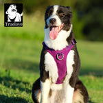 TRUELOVE Pet Nylon Harness Light-weight Double-H Shape Embroidery 5 Adjustable Positions Medium and Large Dog Waterproof  YH1807 - shimendi