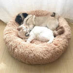 Super Soft Pet Cat Bed Plush Full Size Washable Calm Bed Donut Bed Comfortable Sleeping Artifact Suitable For Winter shimendi Sécurité et Confort pour Chien chat| Shimendi
