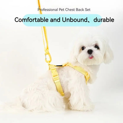 Adjustable Dog Harness Collar Leash Set Macarone Color, Reflective Small Dog Accessories for Puppy & Cat Supplies, Pet Walking