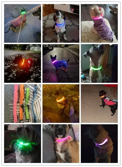 USB Charging LED Dog Collar Anti-lost Safety Night Light Luminous Dogs Necklace Adjustable Nylon Pet Glowing Collars Supplies