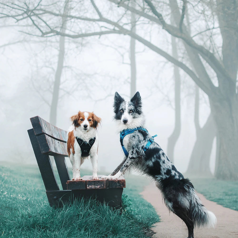 Truelove Pet Harness Reflective Nylon Large Pet Dog Harness All Weather Padded Adjustable Safety Vehicular Leads for Dog TLH5651