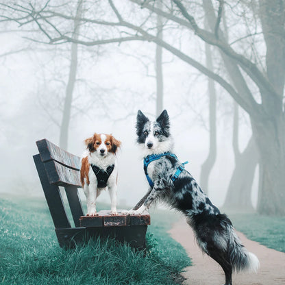 Truelove Pet Harness Reflective Nylon Large Pet Dog Harness All Weather Padded Adjustable Safety Vehicular Leads for Dog TLH5651