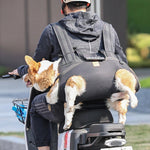 Backpack Carrier for Large Dog Full Body Dog Sling with Handle Dog Lift Harnesses for Elderly Disabled Dogs shimendi Sécurité et Confort pour Chien chat| Shimendi