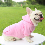 Fashion Dog Clothing Autumn And Winter Small Pet Clothes Thickening Warm Solid Color Two-Feet Hooded Wweater Casual Pet Products - shimendi